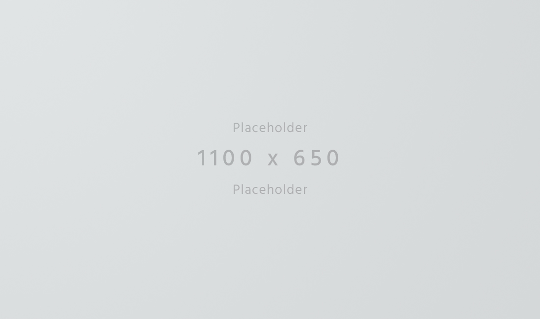 1100×650-light
