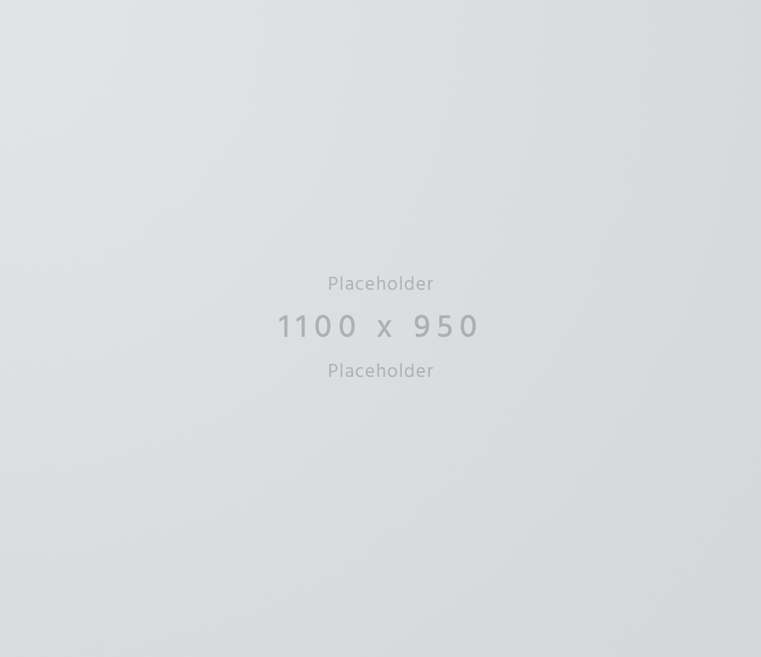 1100×950-light